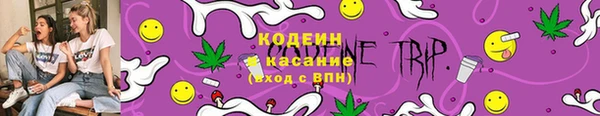 хмурый Кукмор