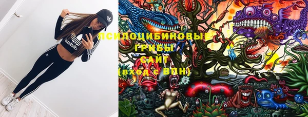 хмурый Кукмор