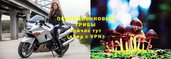 хмурый Кукмор