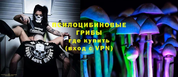 хмурый Кукмор